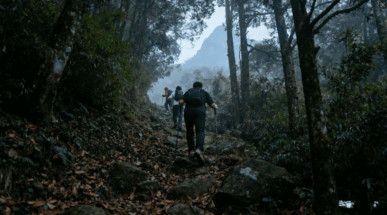 熊猫加速器VPN连接失败的常见原因与应对